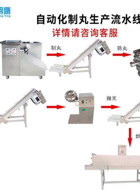 明鹰制丸机全自动家用小型