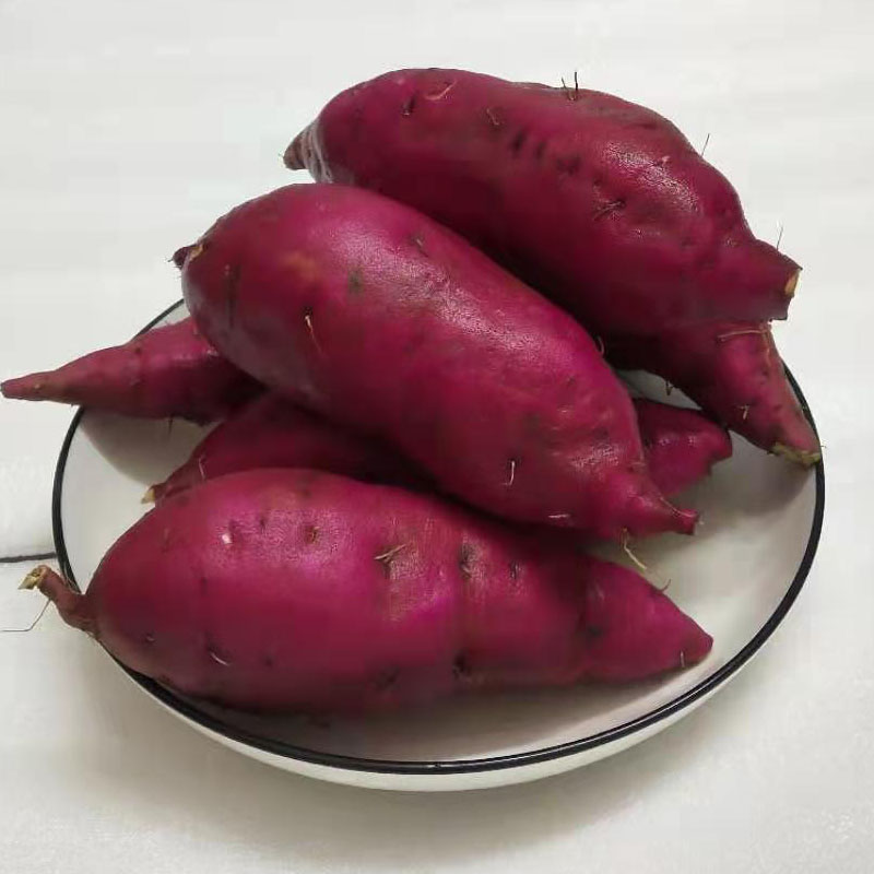 产地直销海南澄迈沙地桥头富硒地瓜 榴言味番薯