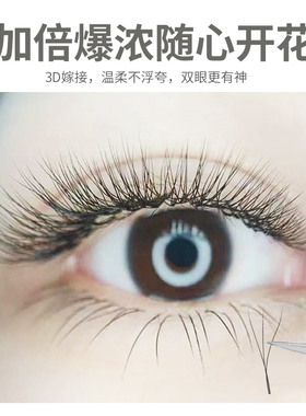 悠米3d仙朵三叶草睫毛开花y型嫁接美睫店专用超柔软貂毛手工制作
