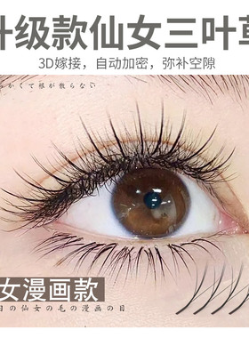 悠米3D仙女睫毛网红漫画款仙子夹心三叶草美睫店专用花神嫁接