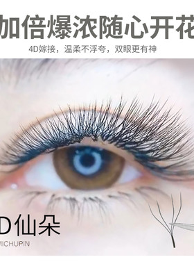 悠米初品4D仙朵睫毛四叶草嫁接加密快速浓密柔软不散根美睫店用