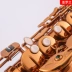 SEROLLAN Saint Laurent Nhạc cụ Cà phê Vàng E-phẳng Alto Saxophone ống - Nhạc cụ phương Tây