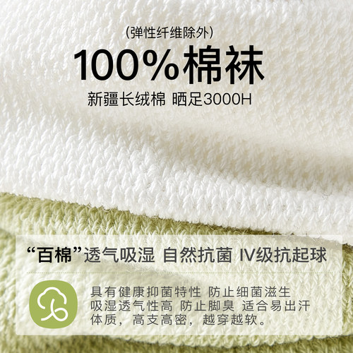 袜子女款短袜夏季薄款纯棉抗菌防臭棉袜白色网眼透气女士船袜夏天 - 图0