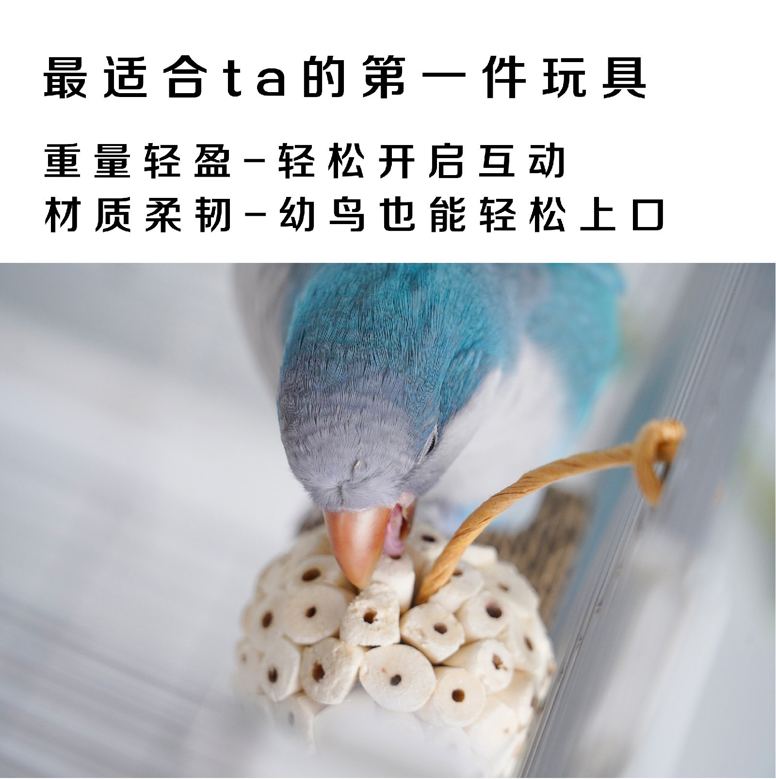 通草原生球-MONZEST大嘴鸟(虎皮玄凤鹦鹉天然啃咬磨嘴解压玩具）,淘宝优惠券,粉丝福利购,淘宝优惠卷