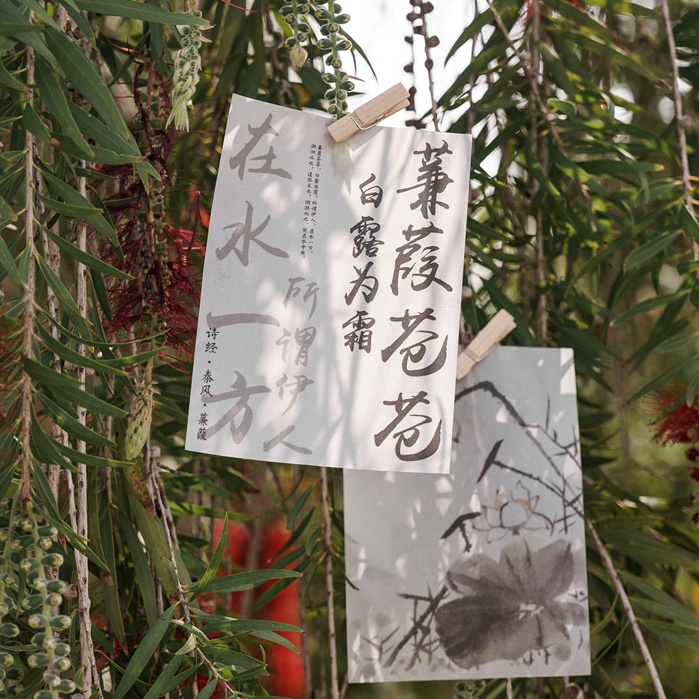 中式古风字画贴纸墙贴中国风房间改造布置背景墙字帖墙面装饰贴画,淘宝优惠券,粉丝福利购,淘宝优惠卷