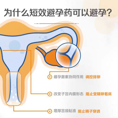 拜耳优思明屈螺酮炔雌醇片21片正品长期服高效口服避孕药女性房事 - 图2