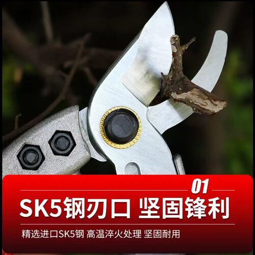 日本爆款原装进口修枝剪园艺剪树枝专用花木剪刀果树修剪神器优选 - 图2