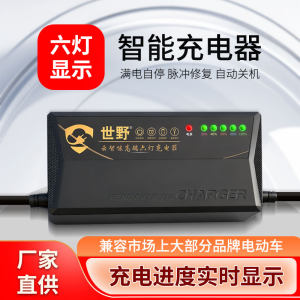 超威天能专用自动断电关机电动车电瓶充电器48V60V72V三轮大功率