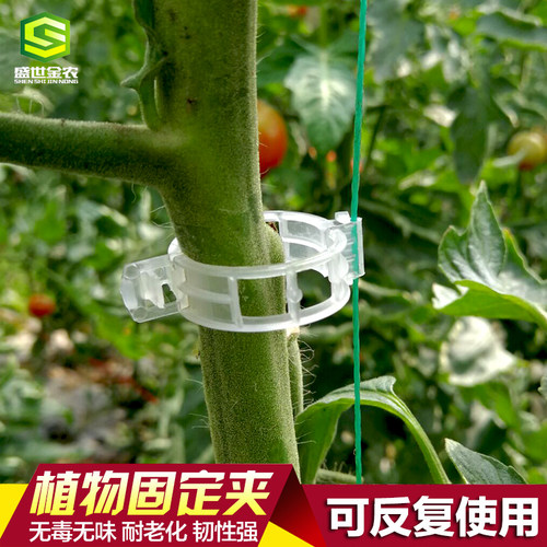 哈密瓜夹西红柿黄瓜绑蔓夹绑枝夹吊蔓扶蔓藤蔓塑料植物固定小夹子 - 图0