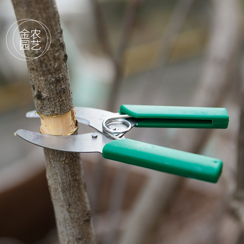 环割剪刀环切刀环形剪葡萄环剥剪环枝剪环割刀果树环剥刀园艺剪刀,淘宝优惠券,粉丝福利购,淘宝优惠卷