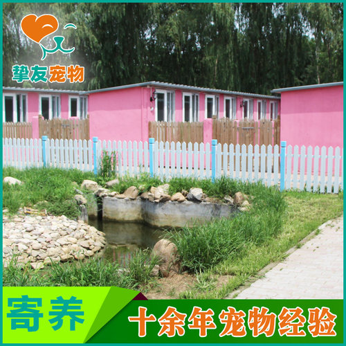 挚友宠物◆北京专业狗狗寄养托管 不关笼子散养 空调暖气单间接送 - 图0