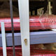 Plastic strip flat fiber fiber fiber strip glass fiber sheet