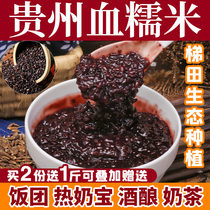 Blood glutinous rice new rice purple rice Guizhou Teryield 2 catties vacuum positive terraces planted with rice dumplings Zongzi blood glutinous rice black glutinous rice