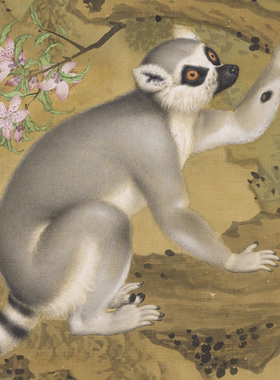 郎世宁画交阯果然图高清复制