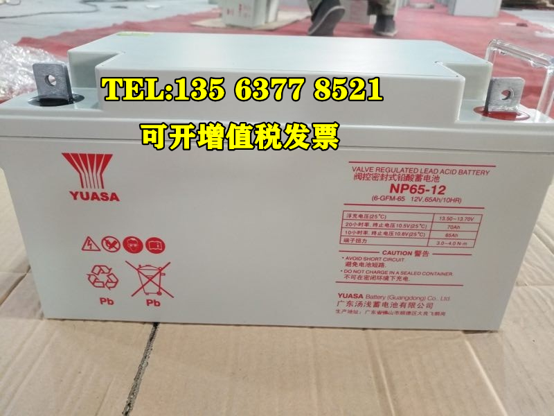 蓄电池12v24AH铅酸免维护UPS应急机房电源NP24-12消防主机用 - 图2