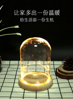 diy积木盲盒人偶玻璃罩永生花