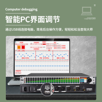 Custom Professional Digital Equalizer Shows Stereo Double 31 Segment Smart Noise Reduction High School Low EQ Tuning Stage Will