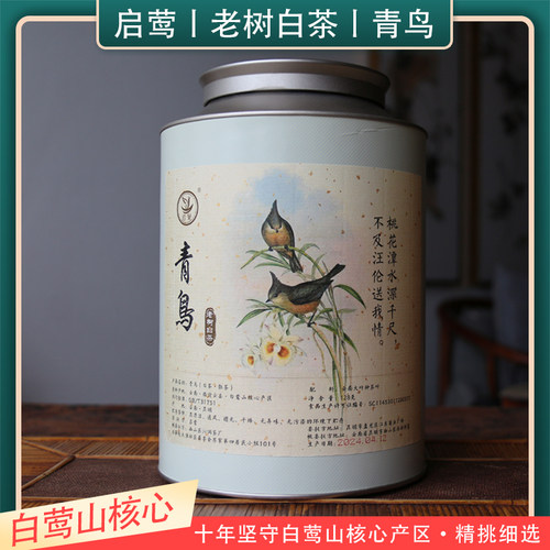 【启莺】云南老树白茶 【青鸟】2024年头春白莺山核心产花香高扬 - 图1