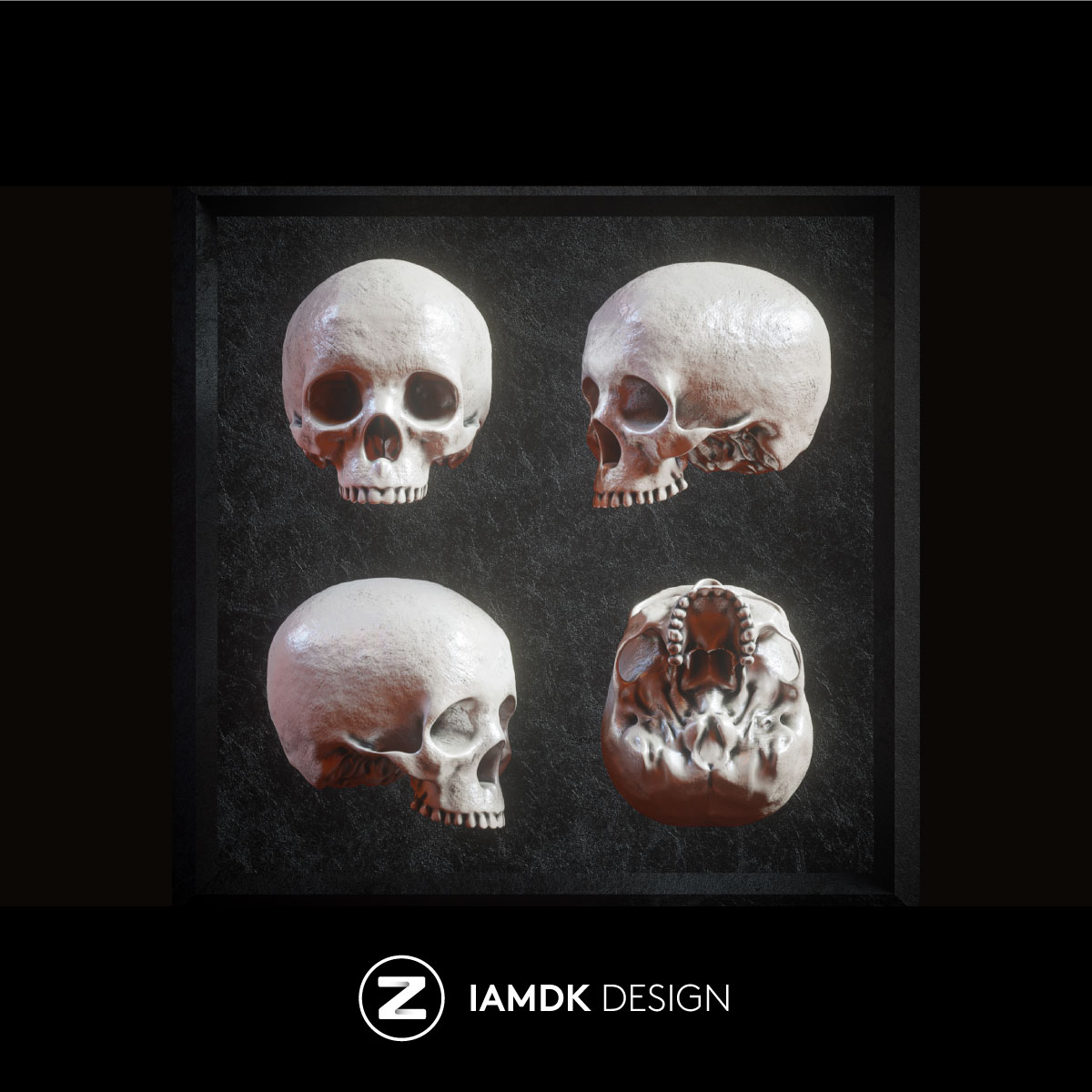 Skull Models 炫酷3D渲染人类头骨骷髅FBX模型素材 FB2020092801 - 图3