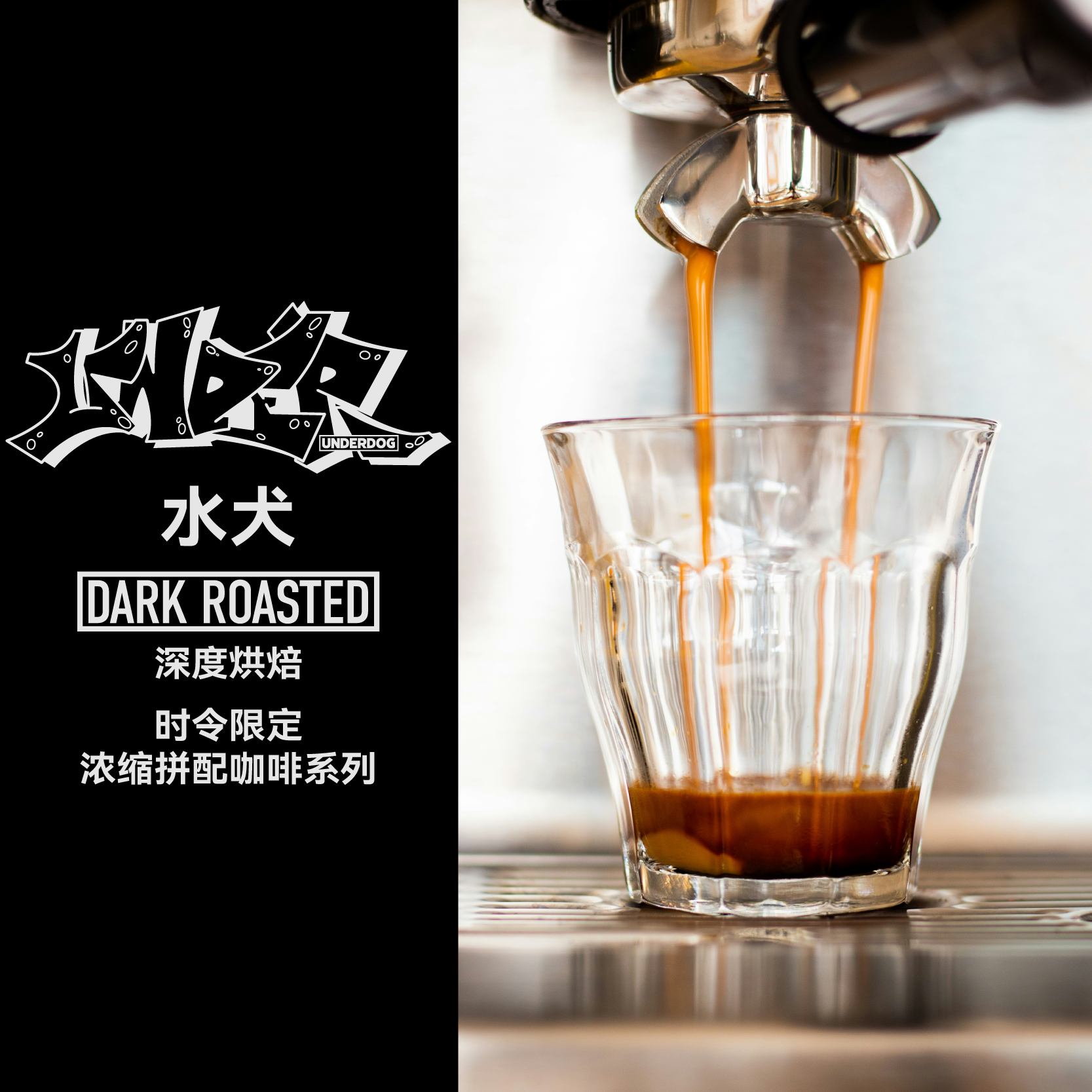 【LETSGRIND】时令限定浓缩拼配咖啡豆商用UNDERDOG 水犬1kg - 图2