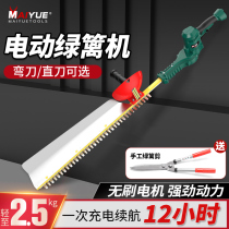 Electric green hedge trimmer lithium battery rechargeable garden forest green tea tree pruner cut fence shea tea deity