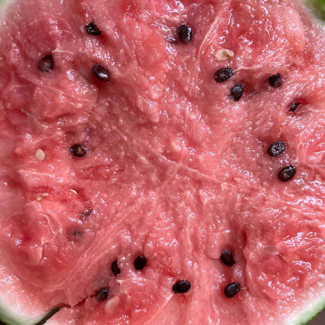 上海南汇头茬8424西瓜薄皮脆甜多汁麒麟瓜黑籽西瓜新鲜水果,淘宝优惠券,粉丝福利购,淘宝优惠卷