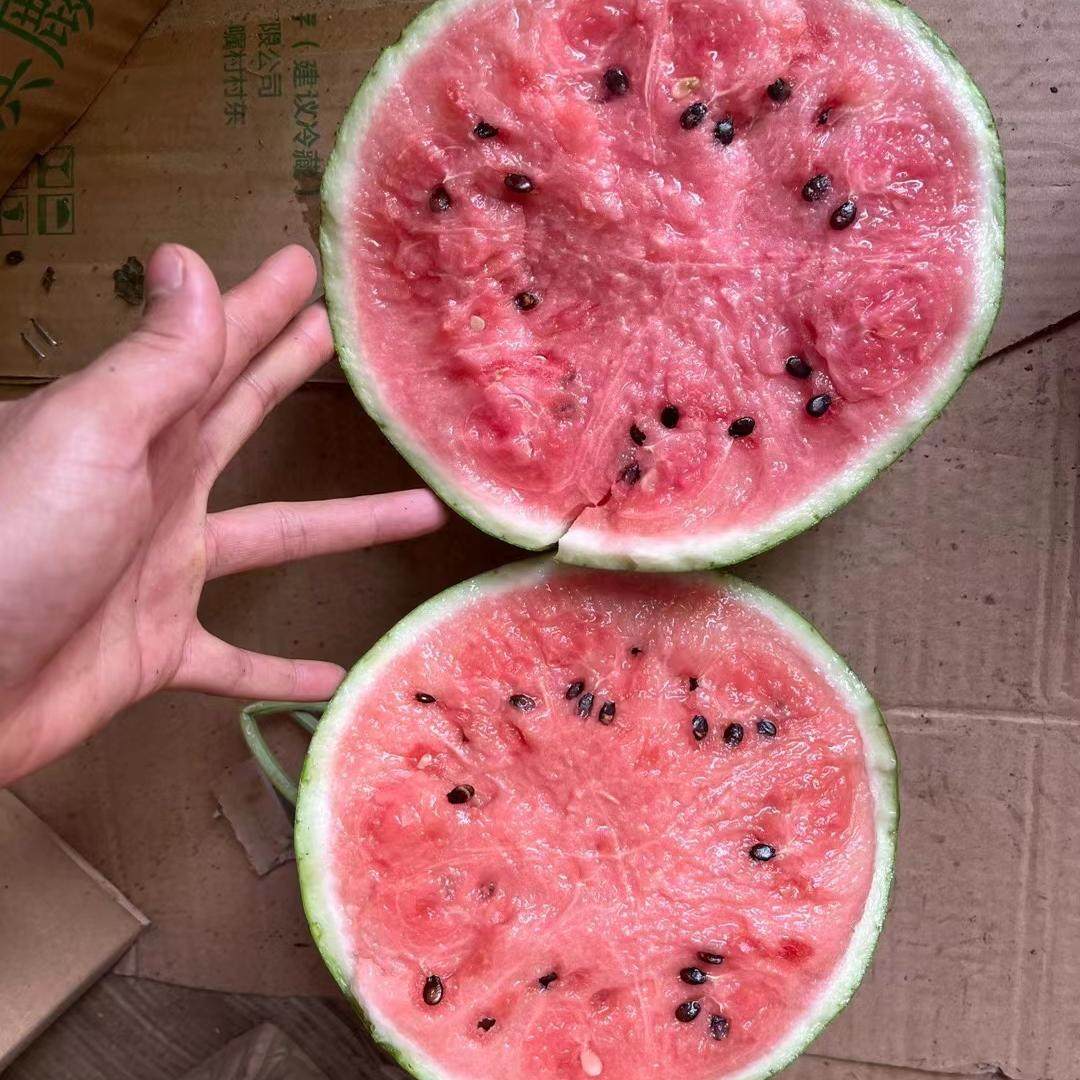 上海南汇头茬8424西瓜薄皮脆甜多汁麒麟瓜黑籽西瓜新鲜水果,淘宝优惠券,粉丝福利购,淘宝优惠卷