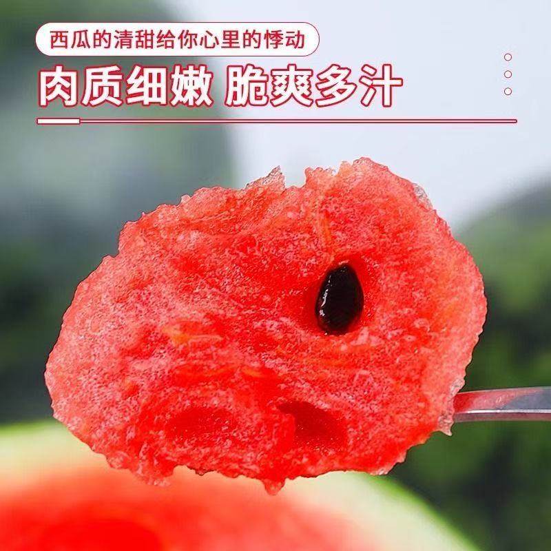 越南黑美人西瓜精品多汁新鲜水果沙瓤脆甜当季水果气柱保温箱防护,淘宝优惠券,粉丝福利购,淘宝优惠卷
