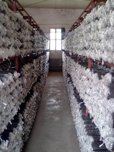 食用菌平菇菌种子菌包菌棒栽培种香菇木三级种农产品厂家自制 - 图2