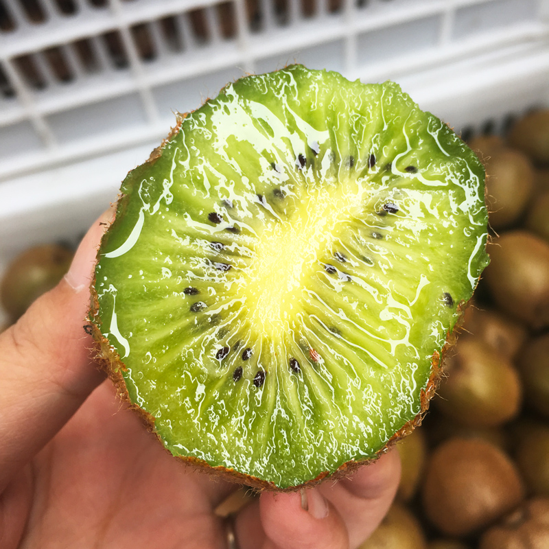 天使芳菲旗舰店陕西眉县徐香猕猴桃带箱5斤包邮小果新鲜水果绿心奇异果猕猴桃0