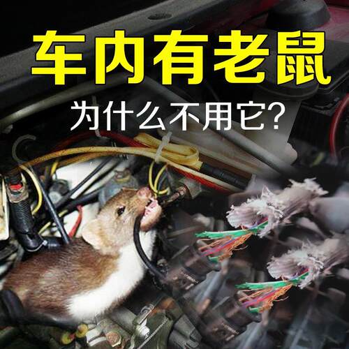 汽车驱鼠器发动机舱小车专用电子车载驱鼠神器车用防鼠灭鼠 - 图2