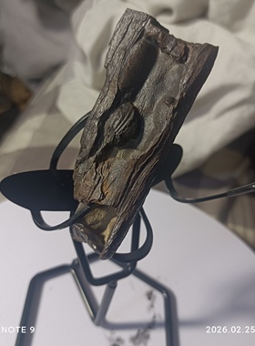 纯天然木化石戈壁石风凌石沙漠漆彩石造型石奇石观赏石摆件泥石