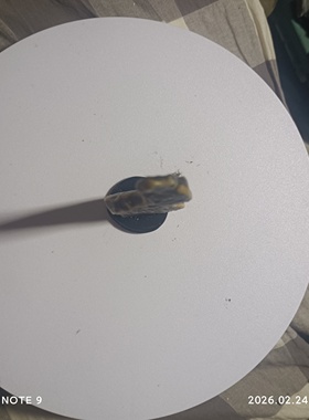 黄泥石戈壁石风凌石风砺石沙漠石彩石彩玉泥石奇石观赏石造景石