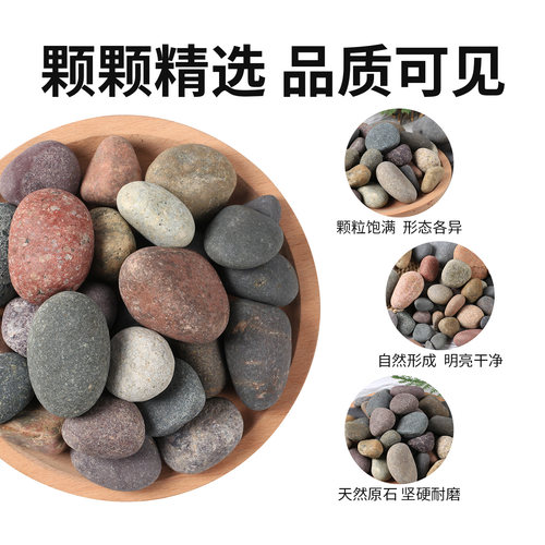 50斤鹅卵石石头铺地铺路庭院花园造景天然大小雨花石原石鹅软暖石 - 图2