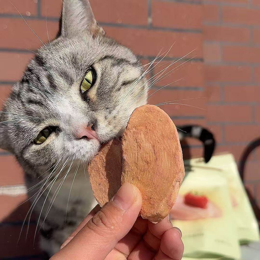 向茸猫零食冻干厚切鸡胸肉新鲜草莓冻干草莓鸡零食冻干,淘宝优惠券,粉丝福利购,淘宝优惠卷