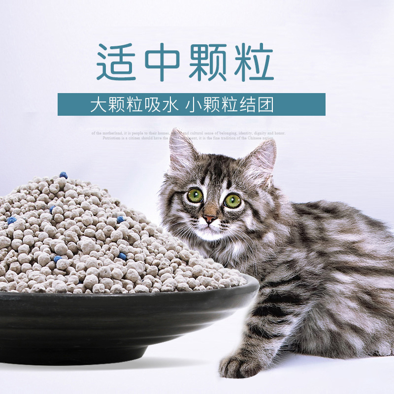 活性炭10Kg猫砂厕所20公斤除臭结团无粉尘膨润土猫咪除菌猫沙防臭-图2