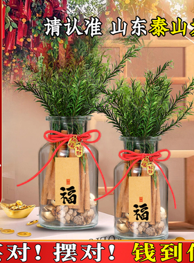 肉桂生财瓶摆件招米聚财瓶子松果diy客厅位工位乔迁新居开业礼物