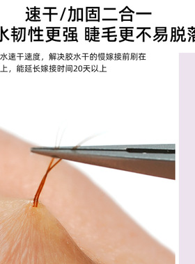 seeha嫁接睫毛胶水加固剂
