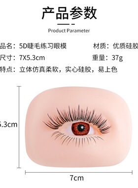5D仿真硅胶睫毛纹绣教学眼模