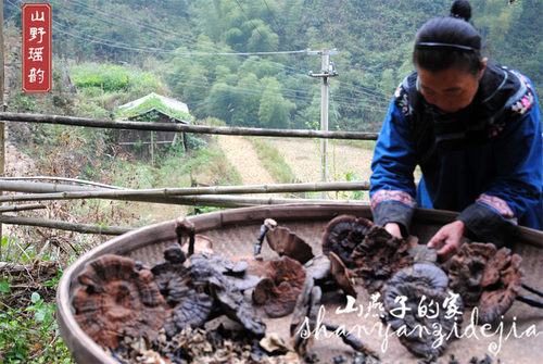 广西瑶山野灵芝干货纯手工切片紫灵芝片黑灵芝 - 图0