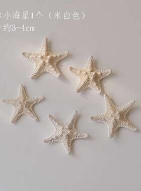 ins风天然蘑菇珊瑚贝壳海星海螺摆件饰品展示垫民宿装饰拍照道具
