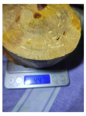 海南黎族收藏海南黄花梨红降，据传为海黄最香的料子，持久降香味