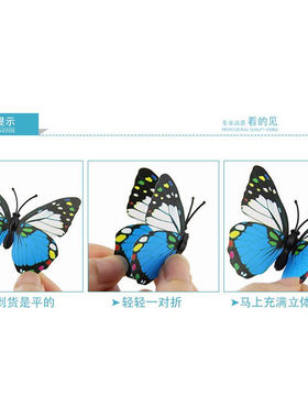 仿真蝴蝶瓢虫新款立体磁性冰箱贴