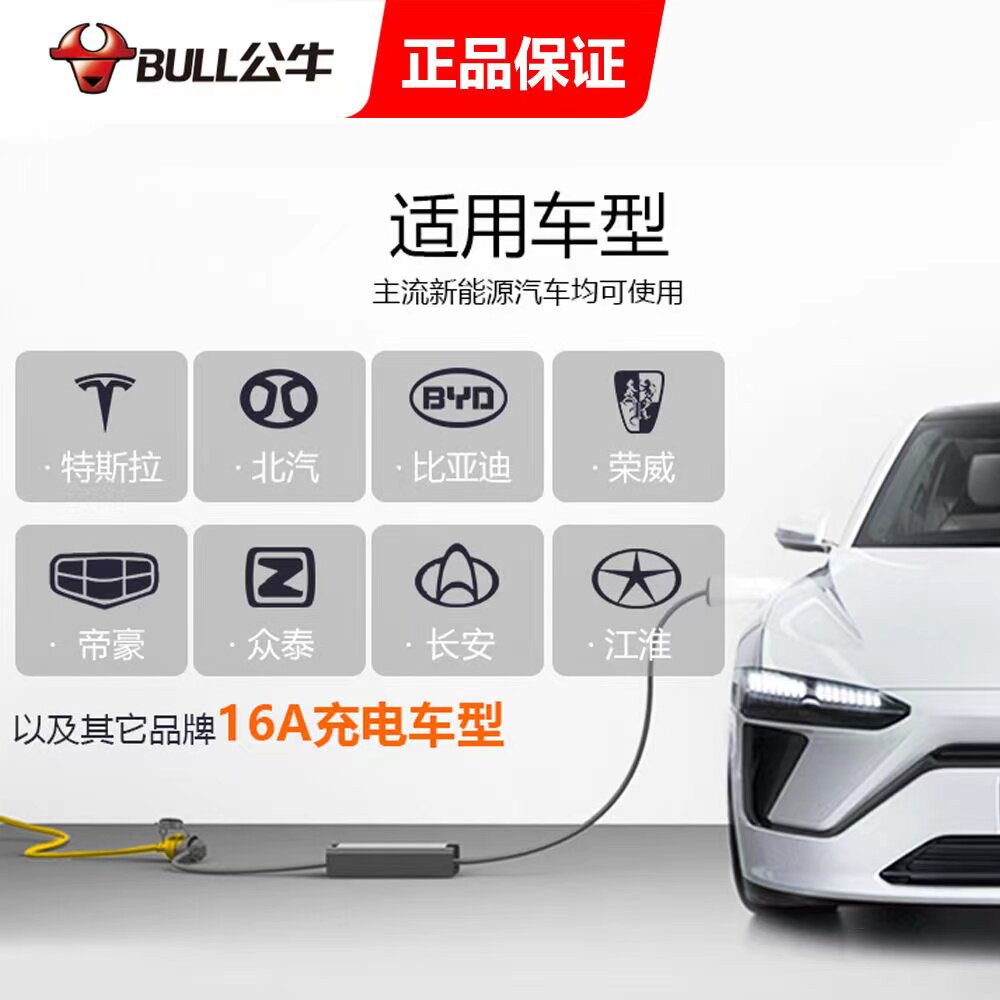 Bull electric car charging extension cable