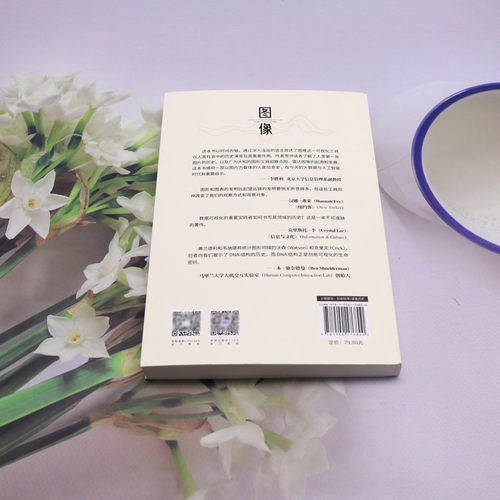 【新华正版】图像(一部人类信息史) (美)迈克尔·弗兰德利 中译 - 图1