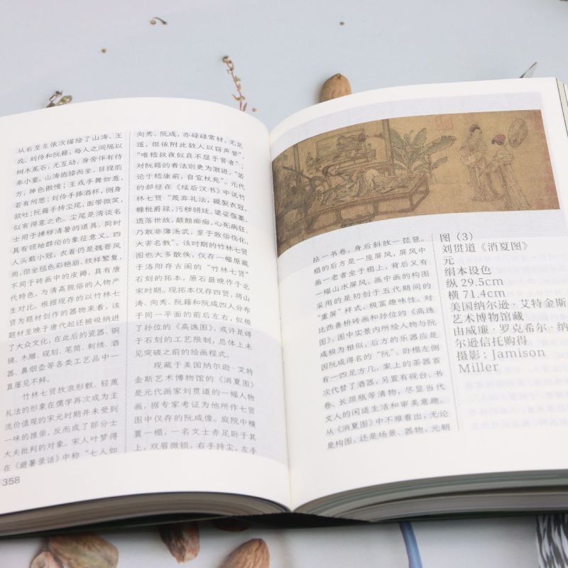 【新华正版】大南坡--共振村声 左靖 从不同角度记录河南修武县大南坡艺术乡建的全过程 美丽乡村建设艺术乡建参考书