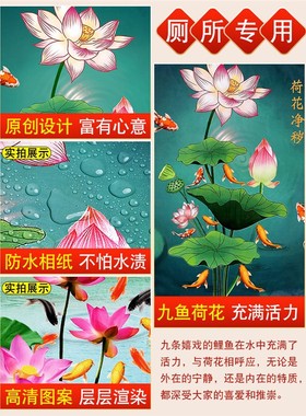 荷花鲤鱼图莲花净秽图锦鲤图贴画