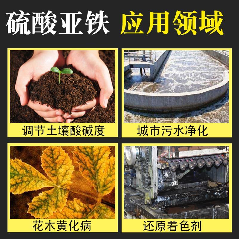 硫酸亚铁花肥料杜鹃花茶花栀子花茉莉花肥料专用肥水溶肥植物通用 - 图0