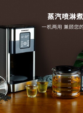 HOMEZEST汉姆斯特自动蒸汽煮茶器