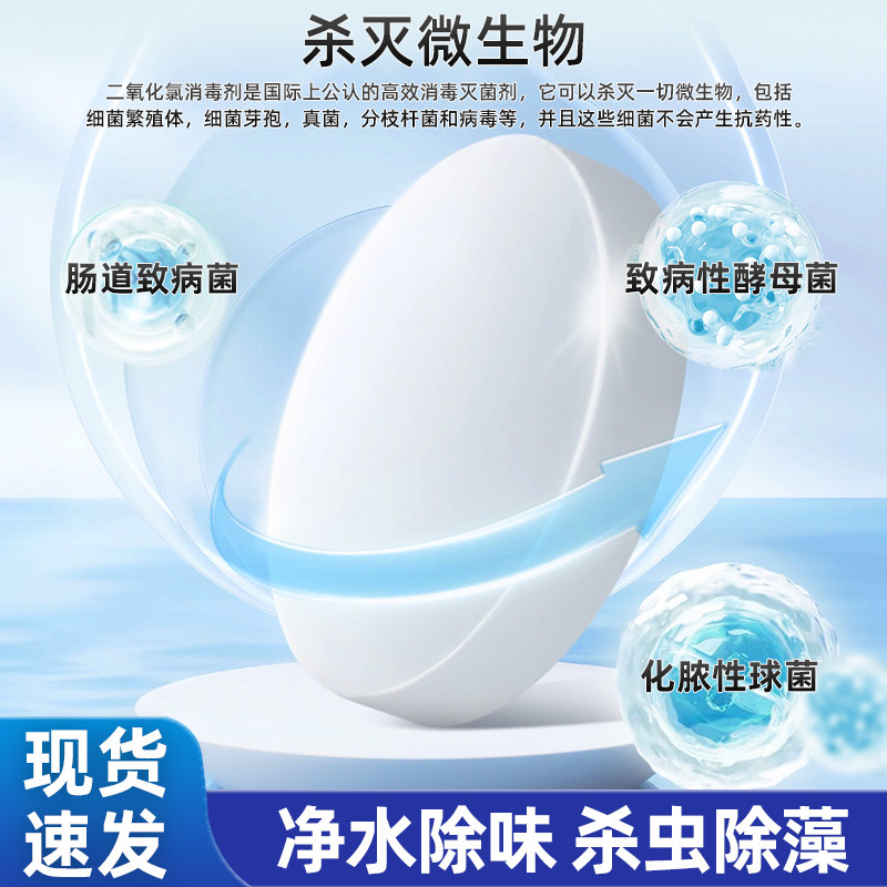 户外饮用水消毒片六鹤水井野外生存净水片应急储备工厂直发新日期,淘宝优惠券,粉丝福利购,淘宝优惠卷